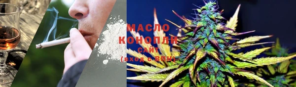 прущий лед Богданович