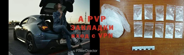 прущий лед Богданович
