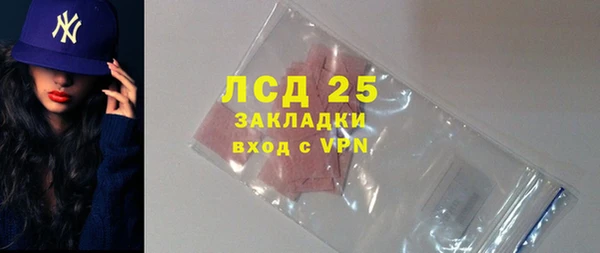 прущий лед Богданович