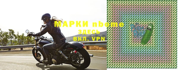 прущий лед Богданович