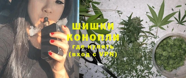 прущий лед Богданович