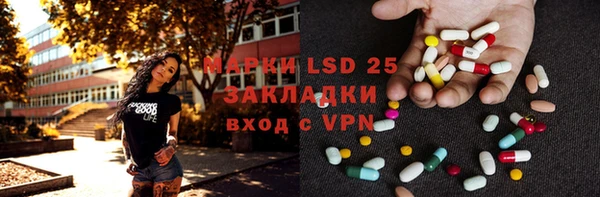 прущий лед Богданович