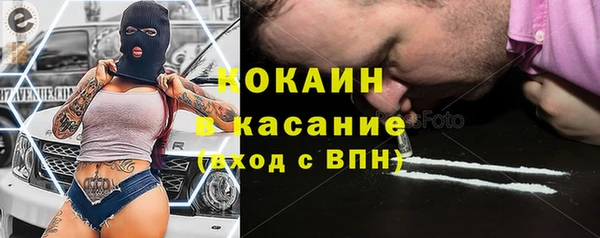прущий лед Богданович