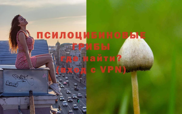 mdma Богородицк