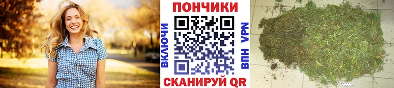 Бошки марихуана MAZAR  наркошоп  Горно-Алтайск 